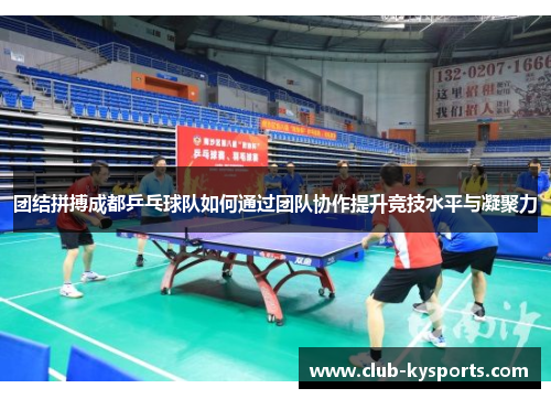 团结拼搏成都乒乓球队如何通过团队协作提升竞技水平与凝聚力